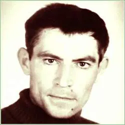 Вірші Василя Стуса